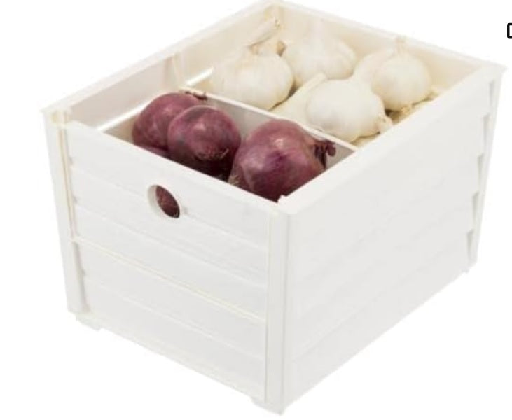 Scorta Box Cream Colour